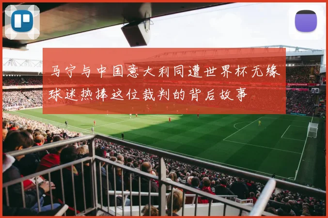 马宁与中国意大利同遭世界杯无缘球迷热捧这位裁判的背后故事
